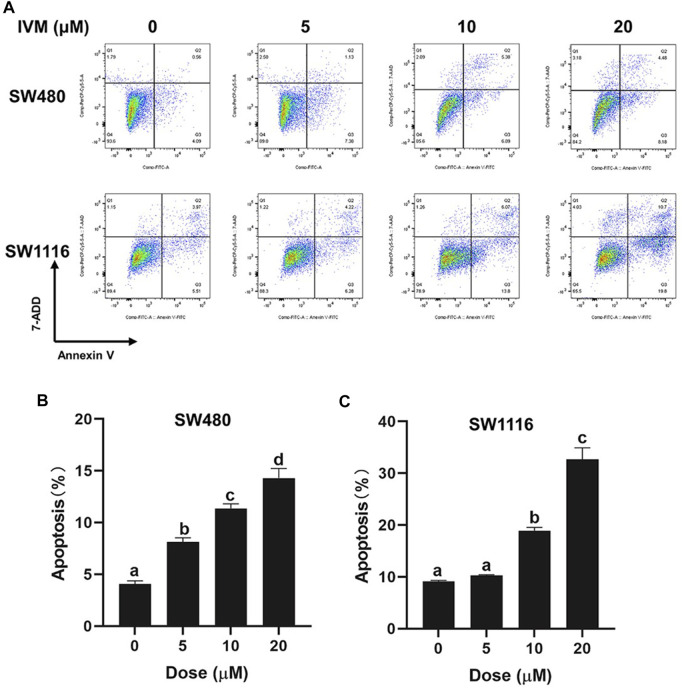 FIGURE 4