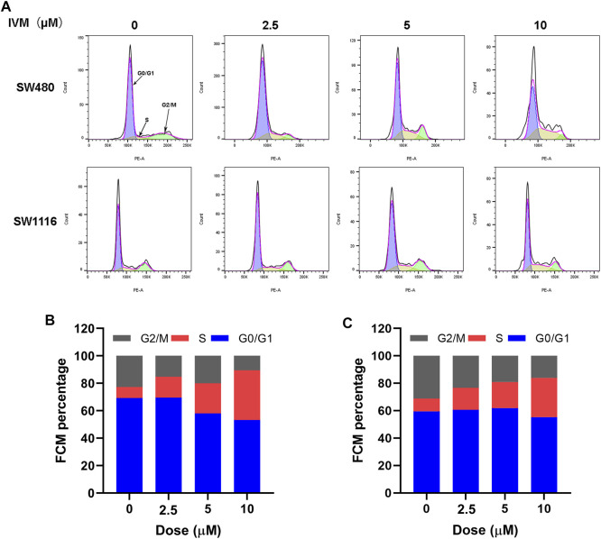 FIGURE 10