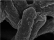 Additional Figure 1.