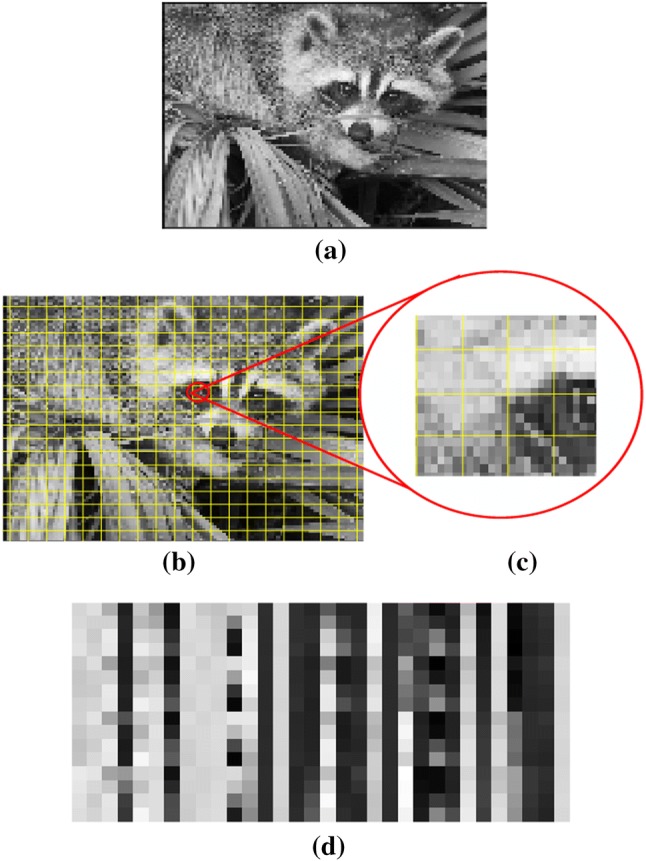 Fig. 12