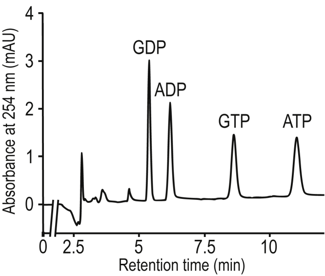 Figure 1