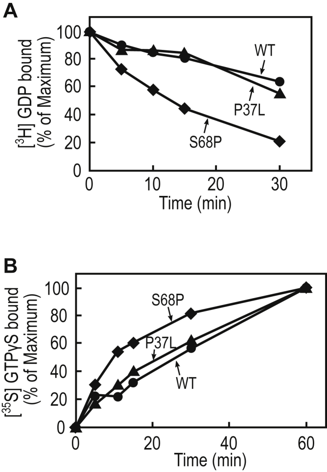 Figure 6