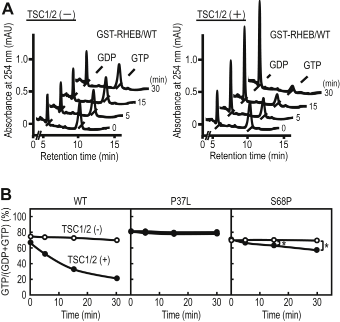 Figure 5