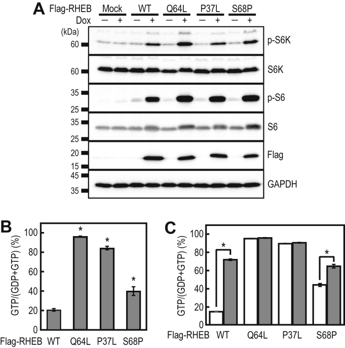 Figure 4