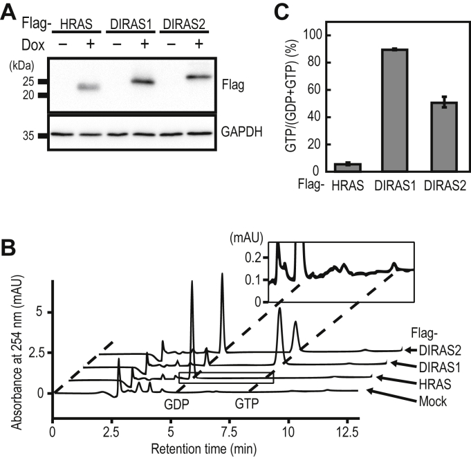 Figure 2