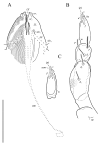 Figure 17