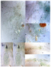 Figure 26