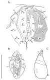 Figure 16