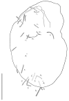 Figure 21