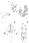 Figure 23