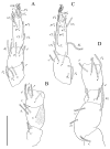 Figure 25