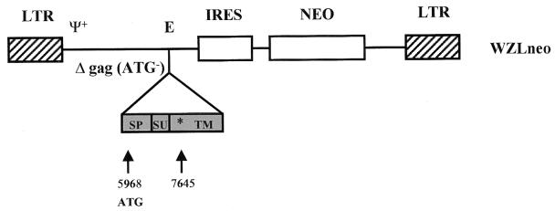 FIG. 3
