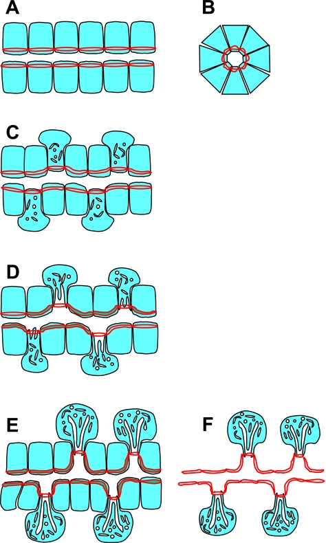 Fig. 10.