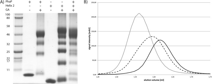 FIG 6