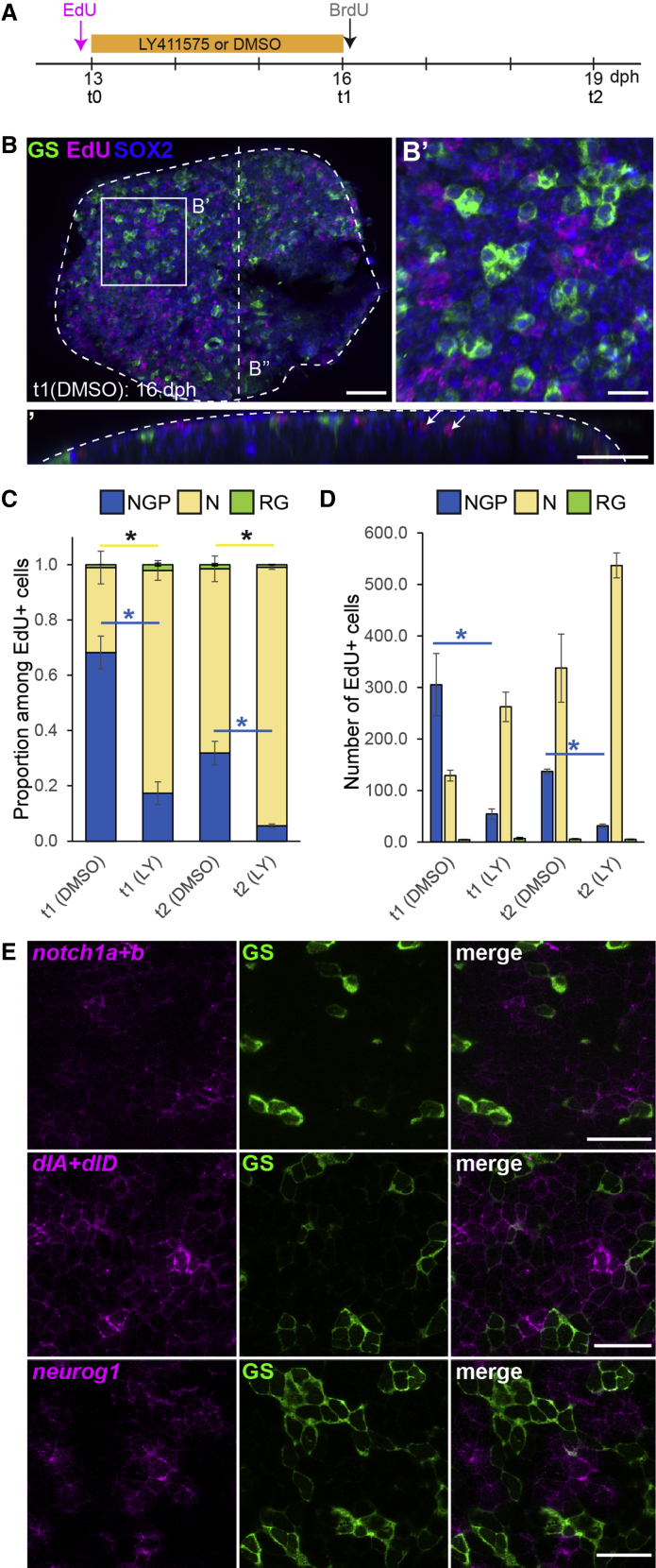 Figure 4