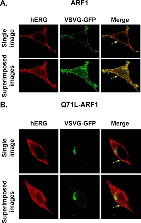 FIGURE 4.