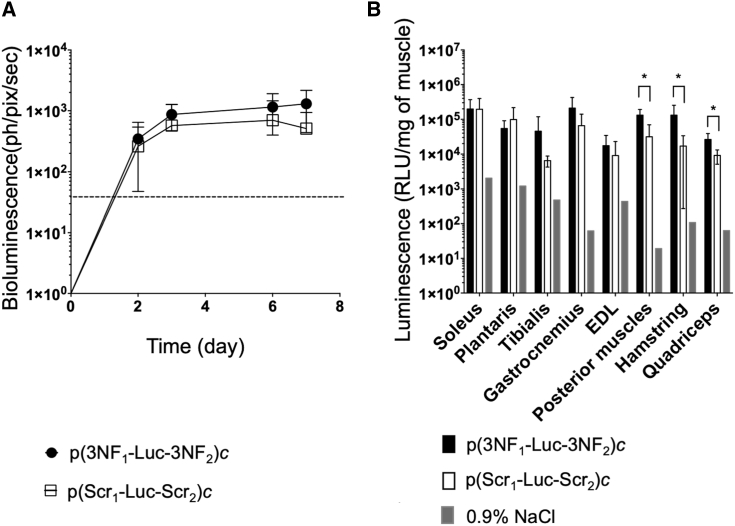 Figure 6