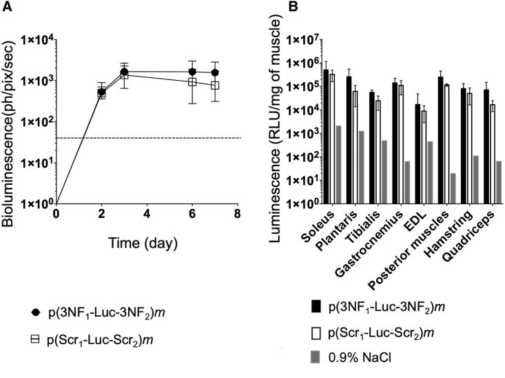 Figure 4