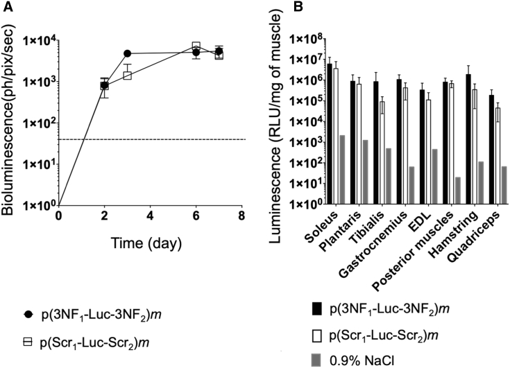 Figure 5