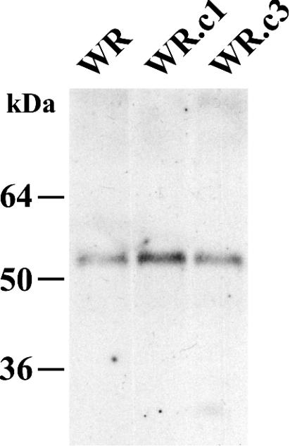 FIG. 8.