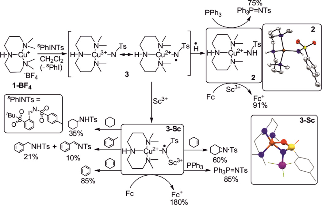 Scheme 1