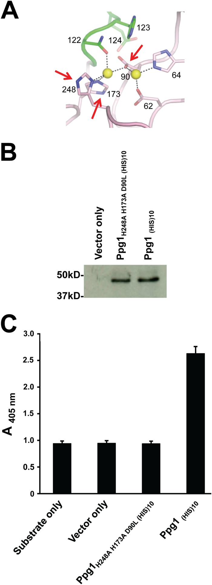 FIG 1