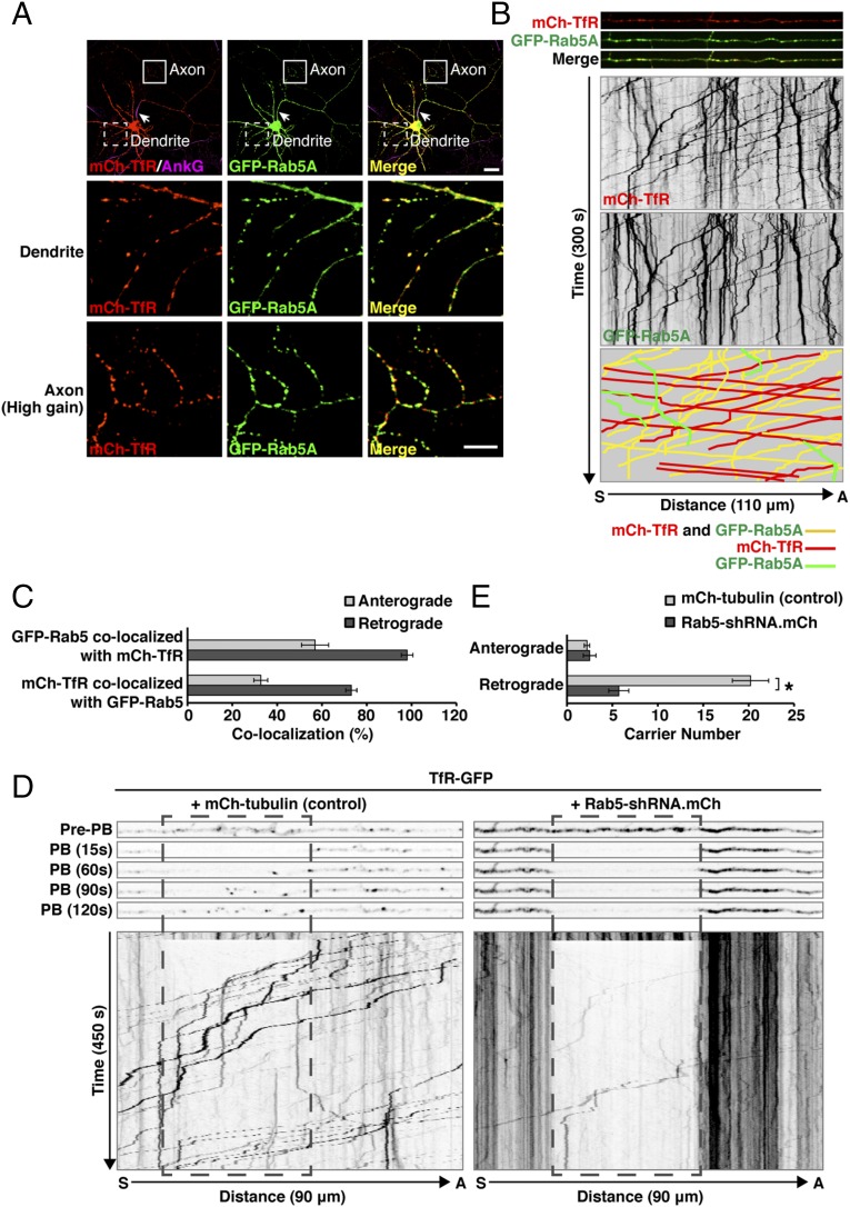 Fig. 4.