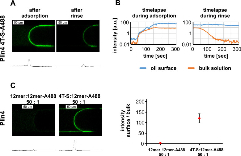 Figure 2—figure supplement 2.