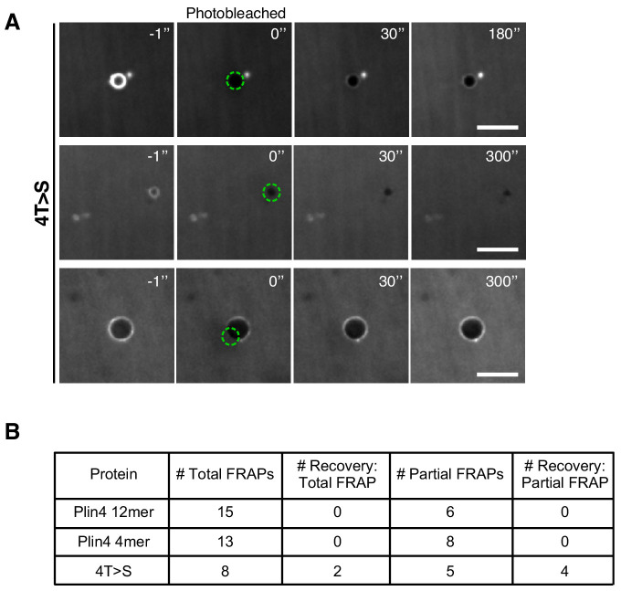 Figure 1—figure supplement 1.