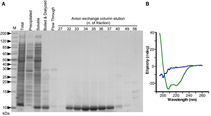 Figure 5—figure supplement 1.