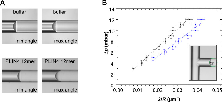 Figure 2—figure supplement 1.