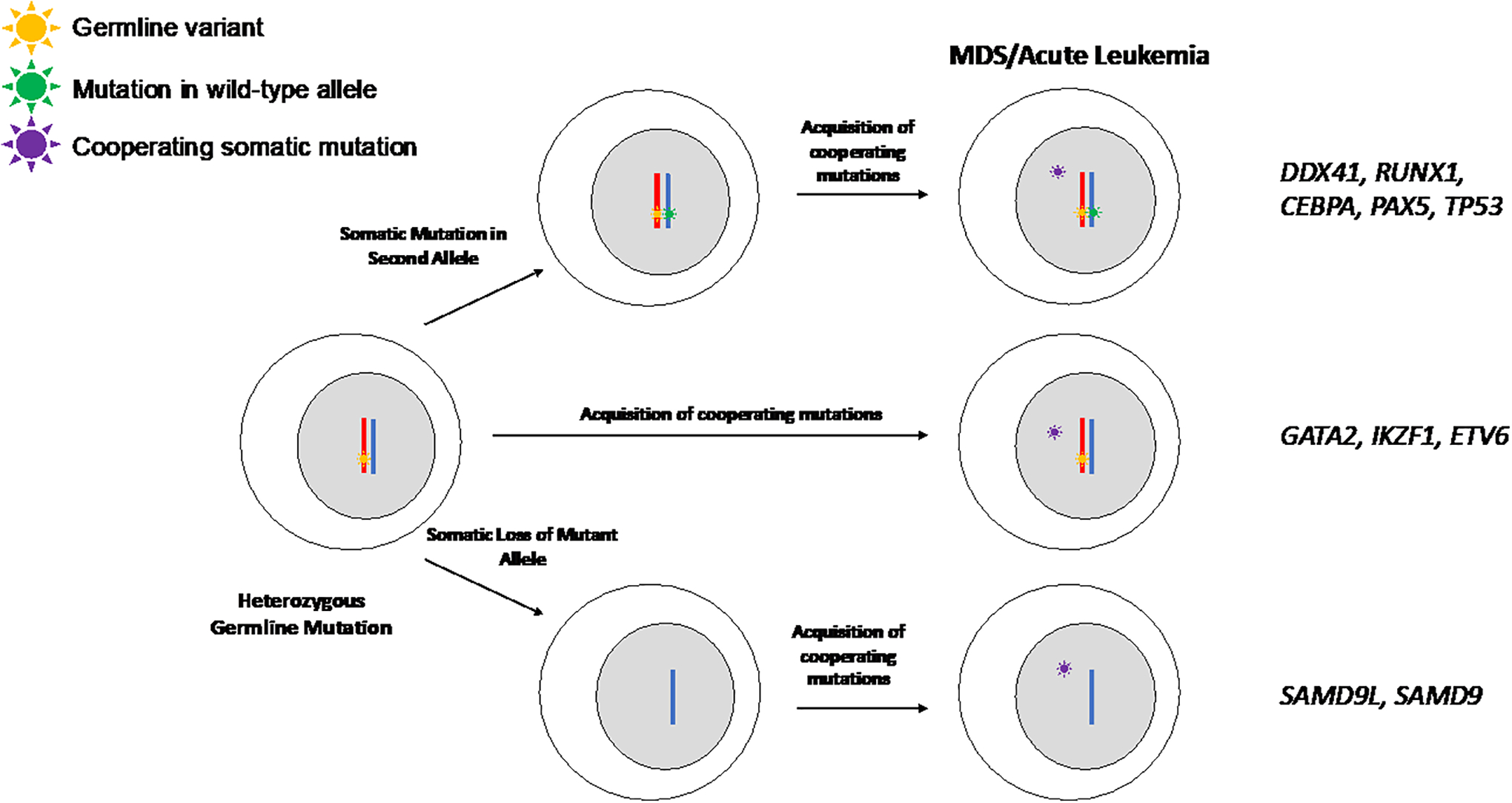 Figure 4.