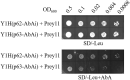 Fig 2