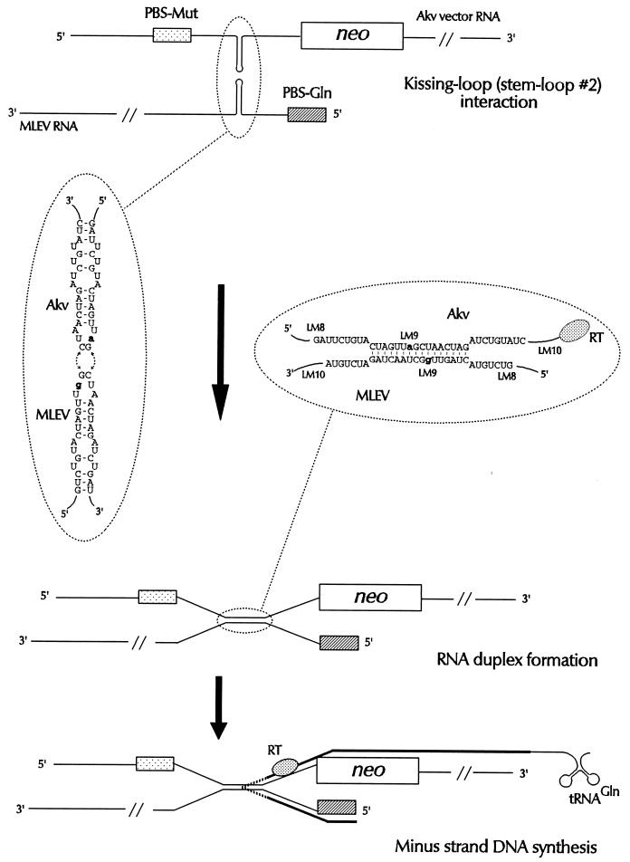 FIG. 5