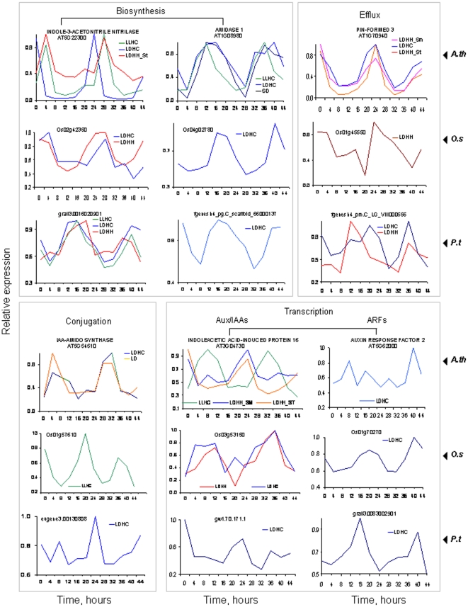 Figure 7