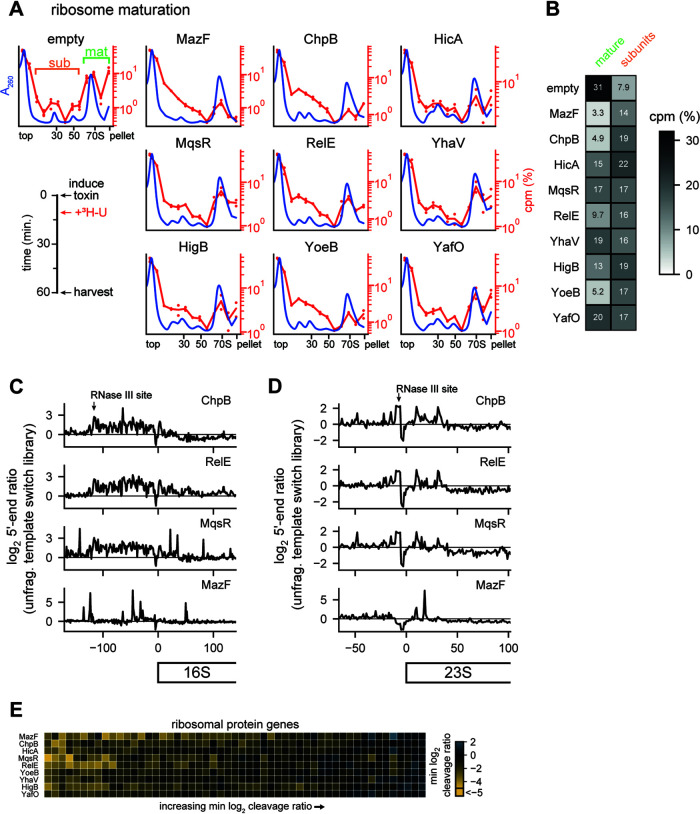 FIG 6