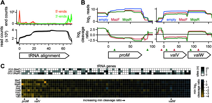 FIG 4