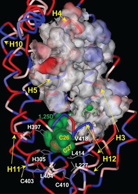 FIGURE 2.