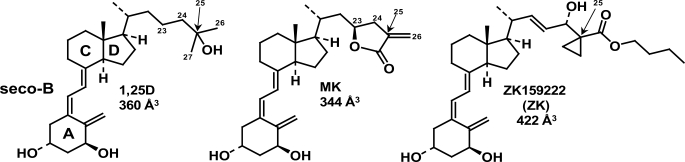 FIGURE 1.