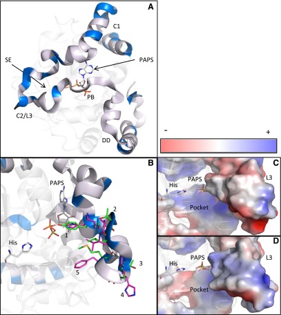 Fig. 7.