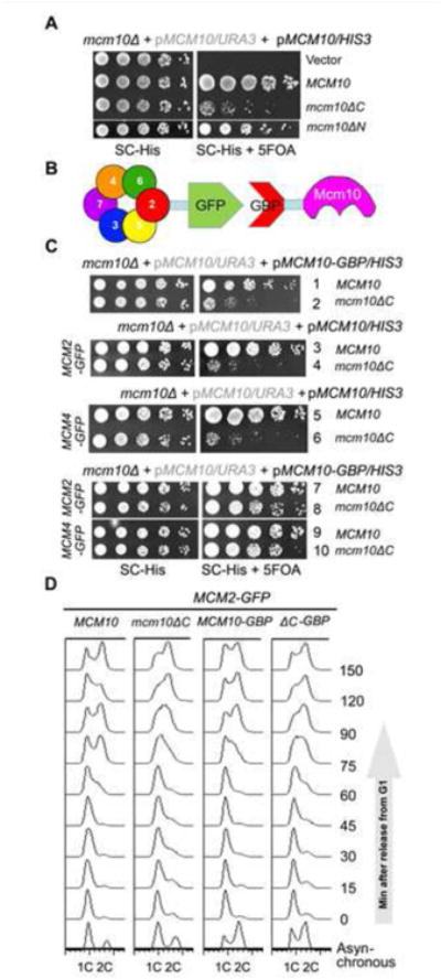 Figure 5