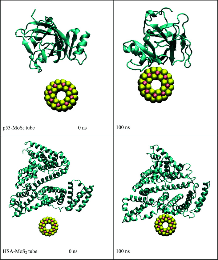 Fig. 9