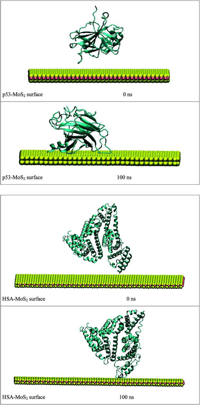 Fig. 12