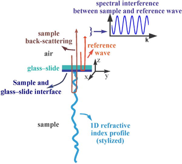 Fig. 1