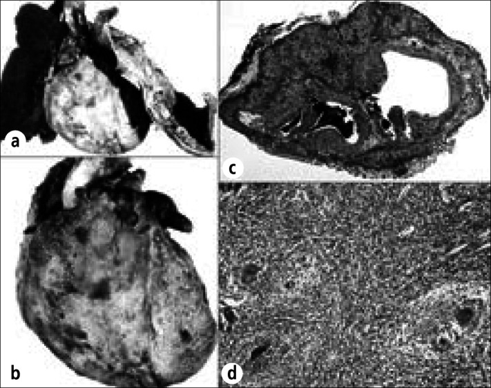 Figure 18