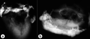 Figure 21