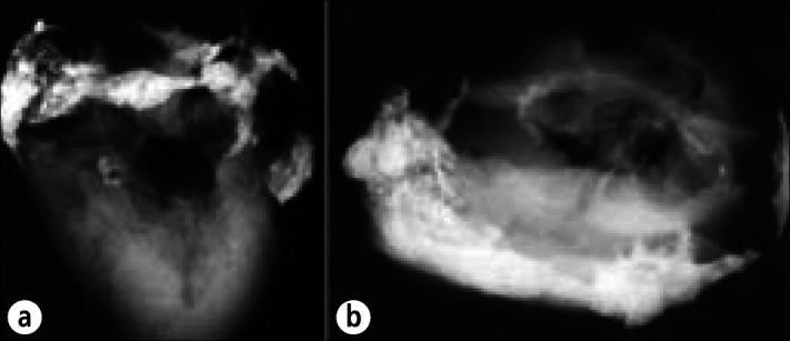 Figure 21