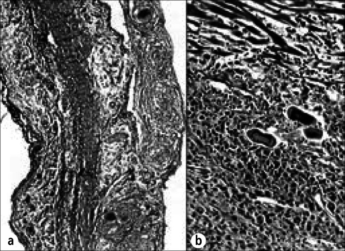 Figure 20