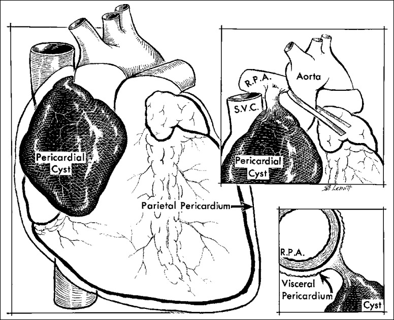 Figure 24