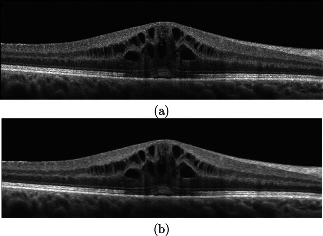 Fig. 8